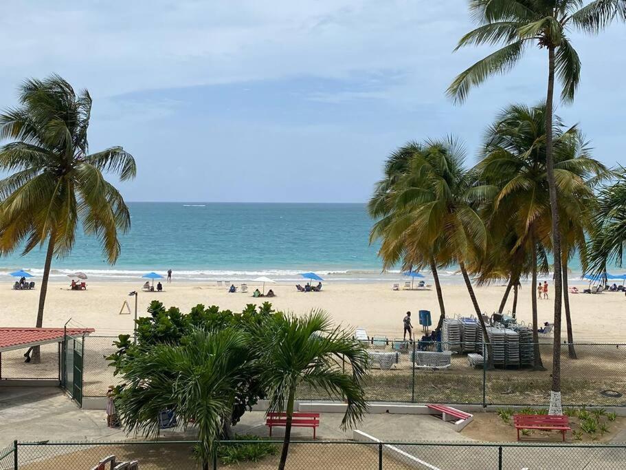Ocean View At Marbella Del Caribe 5 Apartamento *